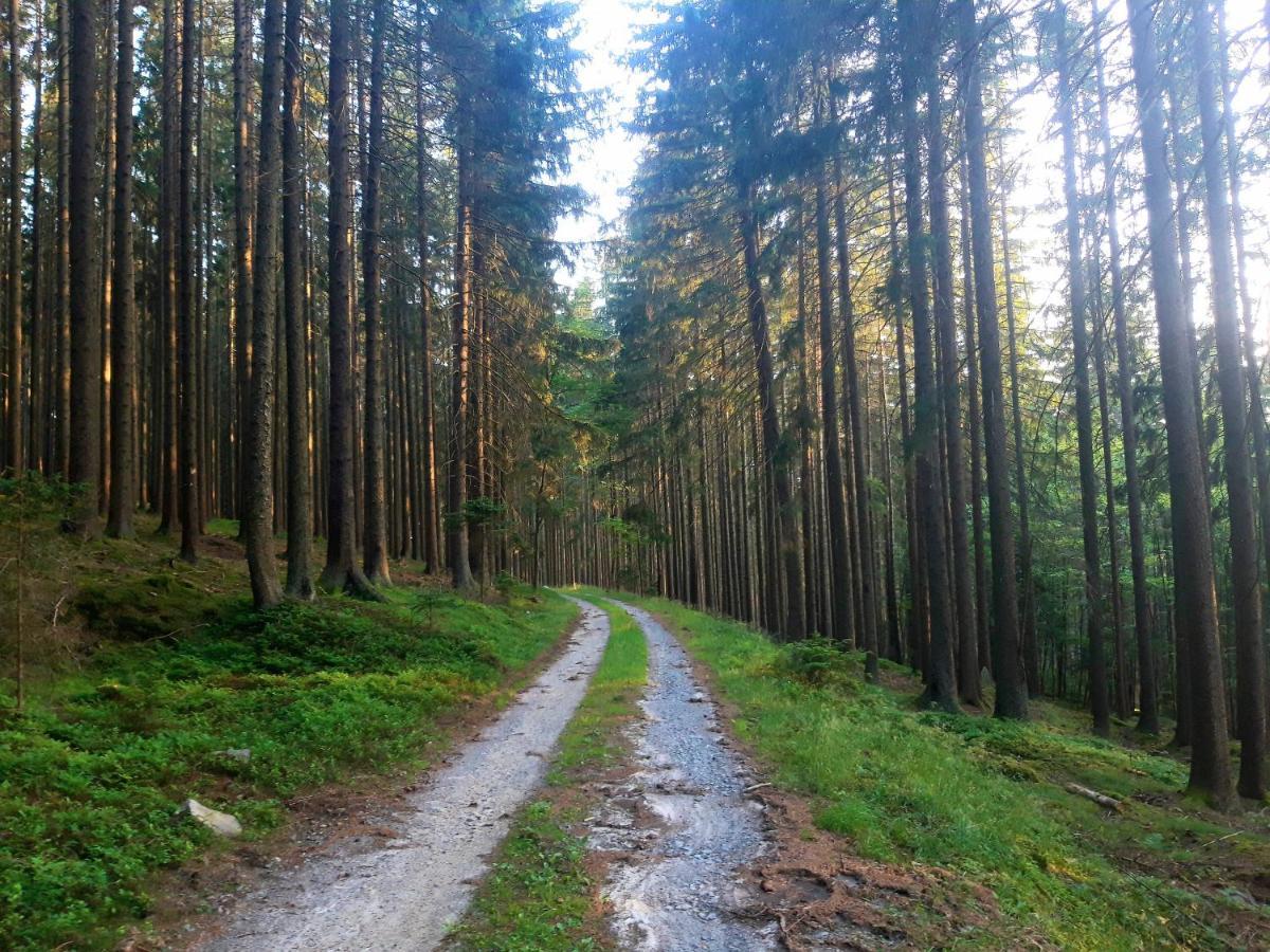 #Apt23 - Apartman 23 - Novohradske Hory Benesov nad Cernou Buitenkant foto