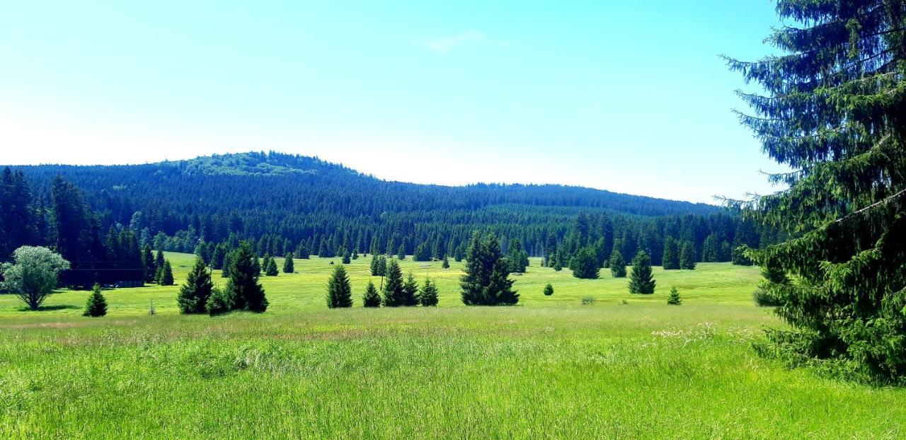 #Apt23 - Apartman 23 - Novohradske Hory Benesov nad Cernou Buitenkant foto